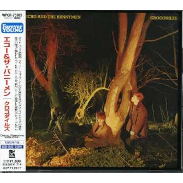 ポーキュパイン(やまあらし)国内盤 Amazon.co.jp: ポーキュパイン(やまあらし): ミュージック