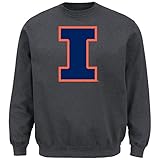 NCAAイリノイ州のUniv Champaignカレッジ長袖クルーネックフリーススウェットシャツ M グレイ