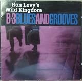Ron Levy's Wild Kingdom: B-3 Blues & Grooves