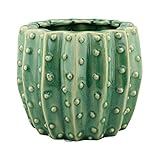 Stonebriar SB-6087A Conservatory Ceramic Green Cactus Planter [並行輸入品]