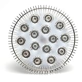 植物成長促進LEDライト 植物育成LED スポットライト 水耕栽培 室内栽培 電照菊 45W E27 赤/青