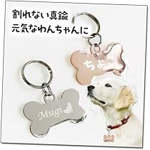 51mo01bSNuL._AC_UL210_SR210,