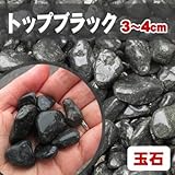 天然石 玉石砂利 トップブラック 3-4cm サンプル