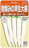 サカタのタネ 実咲野菜5074 耐病みの早生大根 ダイコン 00925074