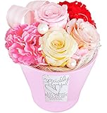 Parfait プリザーブドフラワー THANK YOU クリアケース入 ピンク