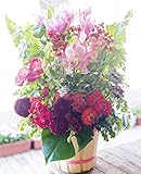 アレンジメントフラワー 生花 ギフト 5Lサイズ イメージ(シック)大臣賞受賞デザイナー おまかせアレンジメント