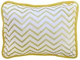 New Arrivals Accent Pillow, Gold Rush by New Arrivals
