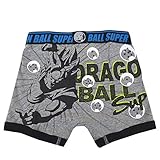 ドラゴンボールスーパー超 ボクサーブリーフ ニットトランクス 下着 肌着 inn17 150cm グレー