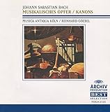 ���y�̕�������