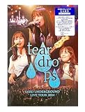 【外付け特典あり】5周年記念LIVE Blu-ray『SARD UNDERGROUND LIVE TOUR 2024[tear drops]』(歌詞ブックレット付き / 三方背ボックス仕様)(クリアファイル（A4サイズ/アーティスト写真デザイン）付)