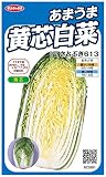 サカタのタネ 実咲野菜2601 あまうま黄芯白菜 さとぶき613 00922601
