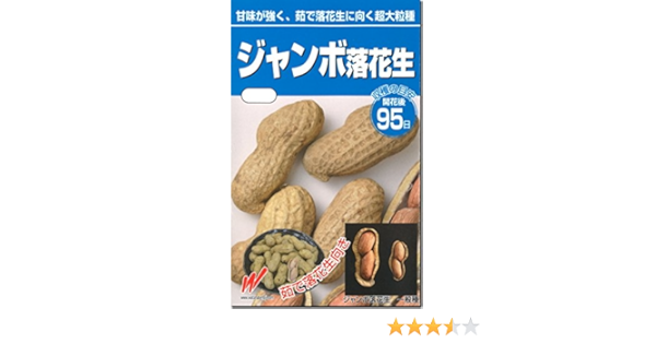 Amazon 落花生 種子 ジャンボ ピーナツ 粒 野菜