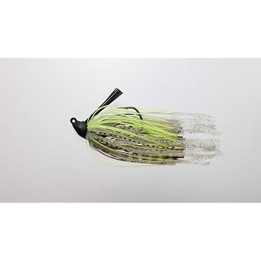 Amazon.co.jp 最新リリース: ラバージグ・チャターベイト の新着