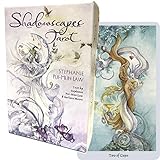 タロットカード 78枚 ライダー版 タロット占い 【 シャドウスケープ タロット デッキ　Shadowscapes Tarot Deck 】日本語解説書付き　[正規品]