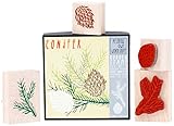 Yellow Owl Workshop CONIFER　スタンプセット