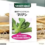 (観葉)野菜の種 食用アイスプラント プリアン 0.1mL(1袋)(種まき4～5月 8月～9月) 家庭菜園 本州・四国限定[生体]