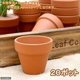 ドイツ製 テラコッタポット (内径3×高さ3cm) 穴有り SAA03-0 20個セット