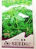 【 珍種子】 香草豆 (20粒入)