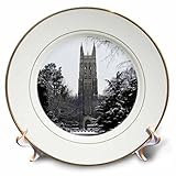 Sandy Mertens North Carolina – Duke大学チャペル、Durham – プレート 8 inch Porcelain Plate cp_55281_1
