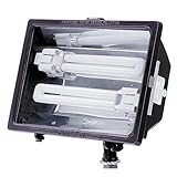 Lithonia Lighting F213L 120 M12 2 Lamp 13W Compact Fluorescent Flood Light, Bronze [並行輸入品]