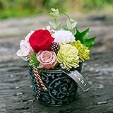 プリザーブドフラワー 和風 はなり モダン そばちょこ （ レッド ） ギフト