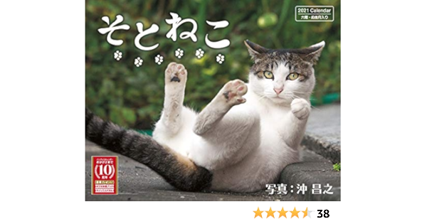 そとねこカレンダー 21 インプレスカレンダー21 沖 昌之 本 通販 Amazon