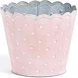 【ライナー付き】 BONBON Tin Pot 4号用 (φ14.5×12.5cm) 537-40DP