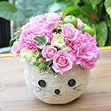 [エルフルール]【マケプレお急ぎ便対応】生花 ネコ顔バスケット店長おまかせアレンジメント お祝い フラワーギフト 誕生日 プレゼント (ホワイト)