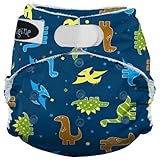 Imagine Baby Products Rayon From Bamboo All-In-One Hook and Loop Diaper, Rawr by Imagine Baby Produc