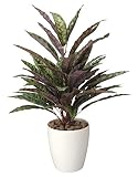 造花アート・観葉植物　ピーコック＜ お中元 お歳暮 フラワーギフトに＞