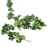 Luyue 【 観葉植物 アイビー 5本 】 壁掛け インテリア アンティーク 雑貨 造花 人工 フェイク 壁掛 グリーン 緑 植物 吊り 家庭やパーティ飾り (5本) (緑の楓の葉)