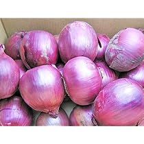 北海道富良野産新紫玉ねぎ15kg Amazon.co.jp: 北海道産紫玉ねぎ（L～L大）5kg (赤たまねぎ) 【出荷元