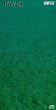 WAVES �g