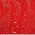 RED WARRIORS「FIRE DROPS」