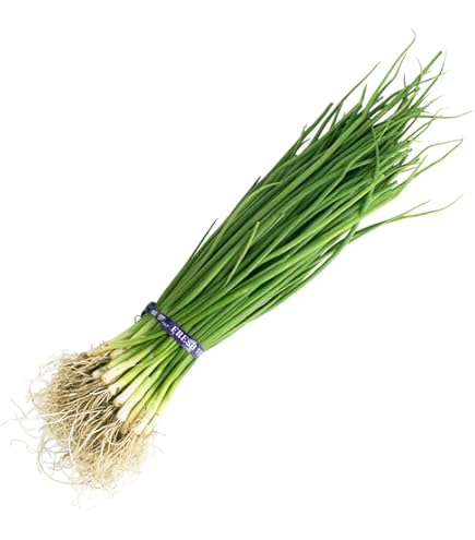 Amazon | 赤タマネギ 猩々赤 中晩生 野菜苗 100本 岡山県産 たまねぎ苗