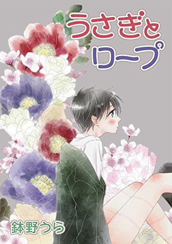『花丸漫画 うさぎとロープ』10巻