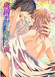 虜囚が甘く淫れる夜 「虜囚が甘く淫れる夜」シリーズ (男主―DANSH―)