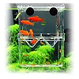 PANASONN 産卵ケース 隔離ケース 多機能 魚 繁殖隔離飼養ボックス メダカ 産卵 水槽...