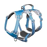 Huntboo 犬 ハーネス 小型犬 中型犬 大型犬 犬用ハーネス 犬用胴輪 抜けない 脱出防止 ハンドル サイズ調整可能 夜間反射 簡単着脱 ソフト 防水 散歩 トレーニング（L、ブルー）