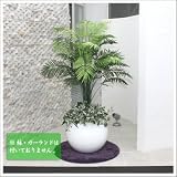 人工観葉植物 光触媒 アレカヤシ 130cm