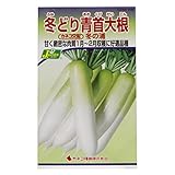 カネコ種苗  野菜タネハイクオリティ 冬どり青首大根 冬の浦 10袋セット 232