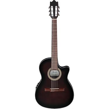 Amazon | Ibanez アイバニーズ ボディ厚 約70mmの薄胴エレガットギター