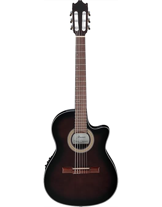 Amazon.co.jp: 【ハードケース + スペア弦付】ARIA/アリア A-35CE 