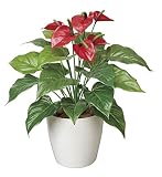 光触媒 人工観葉植物 光の楽園 フレッシュアンスリュームM 390A60
