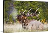 Carson Ganciプレミアムシックラップキャンバス壁アート印刷題名Bull Elk 48" x 32" 1418322_24_48x32_none