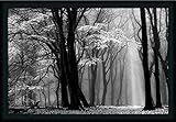 Winter Is Coming Lars Van de Goorブラックホワイト写真入りアートプリント壁装飾画像 GOG-GOGY14622-WB-36x24