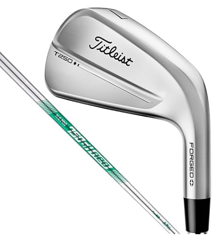 Amazon.co.jp: タイトリストアイアン 25 T250 4G RH NS880AMC S 5-PW