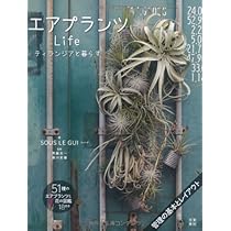 エアプランツ　mic エアプランツ mic様 確認用