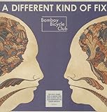 Different Kind of Fix [12 inch Analog]