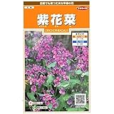 【種子】紫花菜 小袋